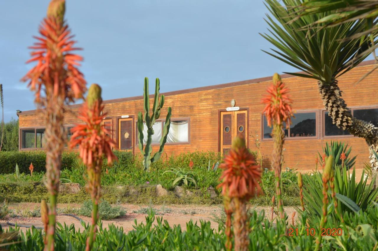 Dakhla Kitesurf World Hotel Bagian luar foto